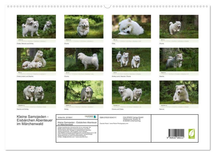 Produktbild: Kleine Samojeden - Eisb&auml;rchen Abenteuer im M&auml;rchenwald (hochwertiger Premium Wandkalender 2026 DIN A2 quer), Kunstdruck in Hochglanz