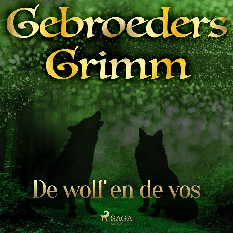 Produktbild: De wolf en de vos