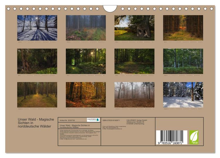 Produktbild: Unser Wald - Magische Sichten in norddeutsche W&auml;lder (Wandkalender 2026 DIN A4 quer), CALVENDO Monatskalender