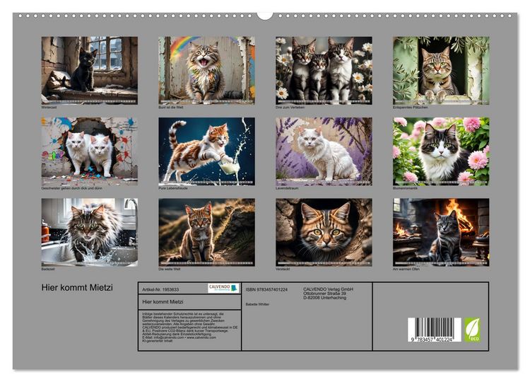 Produktbild: Hier kommt Mietzi (hochwertiger Premium Wandkalender 2026 DIN A2 quer), Kunstdruck in Hochglanz