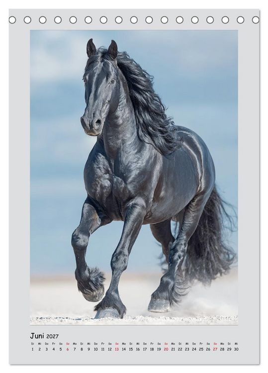 Produktbild: Friesenpferde. Schwarze Eleganz in der Natur (Tischkalender 2027 DIN A5 hoch), CALVENDO Monatskalender
