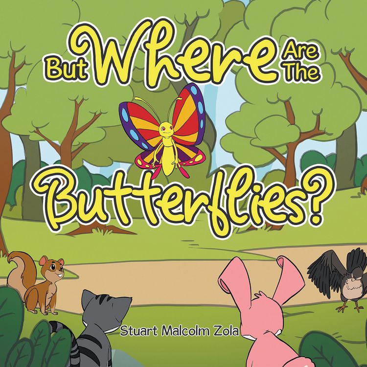 Produktbild: But Where Are The Butterflies?