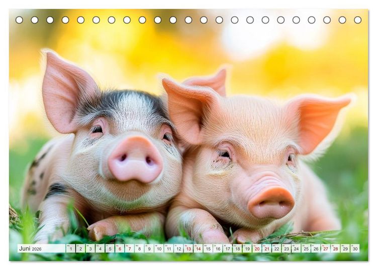Produktbild: TIERKINDER Abenteuer Wildnis (Tischkalender 2026 DIN A5 quer), CALVENDO Monatskalender