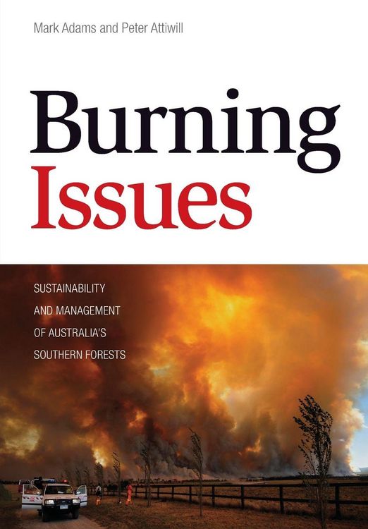 Produktbild: Burning Issues