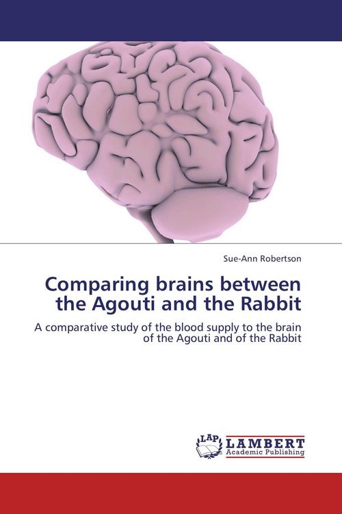 Produktbild: Comparing brains between the Agouti and the Rabbit