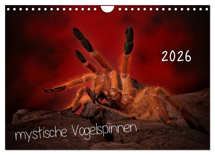 Produktbild: Mystische Vogelspinnen (Wandkalender 2026 DIN A4 quer), CALVENDO Monatskalender