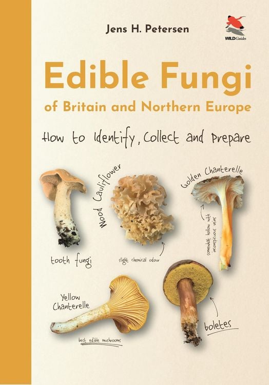Produktbild: Edible Fungi of Britain and Northern Europe - How to Identify, Collect and Prepare