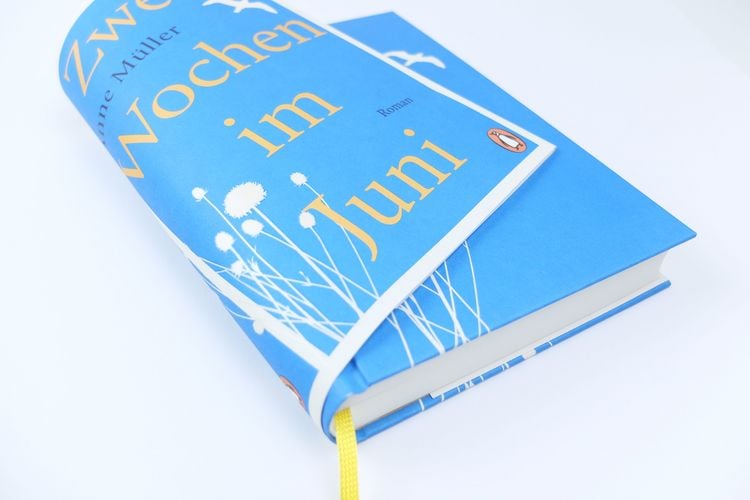 Produktbild: Zwei Wochen im Juni