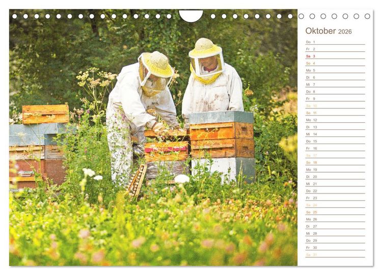 Produktbild: S&uuml;&szlig;es Gold: Imker, Bienen & Honig (Wandkalender 2026 DIN A4 quer), CALVENDO Monatskalender