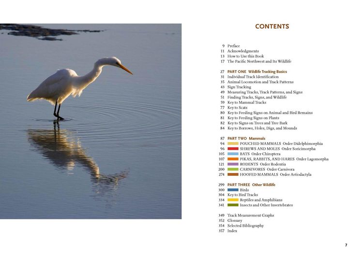 Produktbild: Wildlife of the Pacific Northwest
