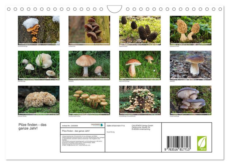 Produktbild: Pilze finden - das ganze Jahr! (Wandkalender 2027 DIN A4 quer), CALVENDO Monatskalender