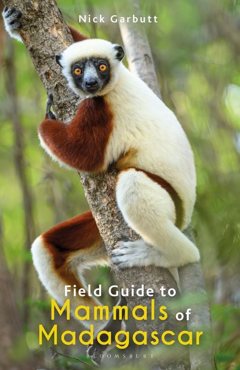 Produktbild: Field Guide to Mammals of Madagascar