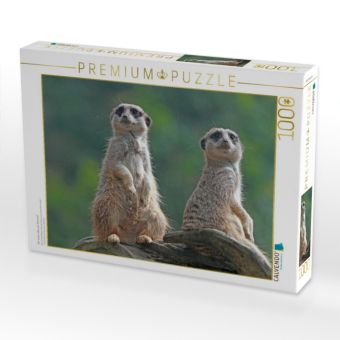 Produktbild: CALVENDO Puzzle Wir sehen alles am Himmel! | 1000 Teile Lege-Gr&ouml;&szlig;e 64x48cm Foto-Puzzle f&uuml;r gl&uuml;ckliche Stunden