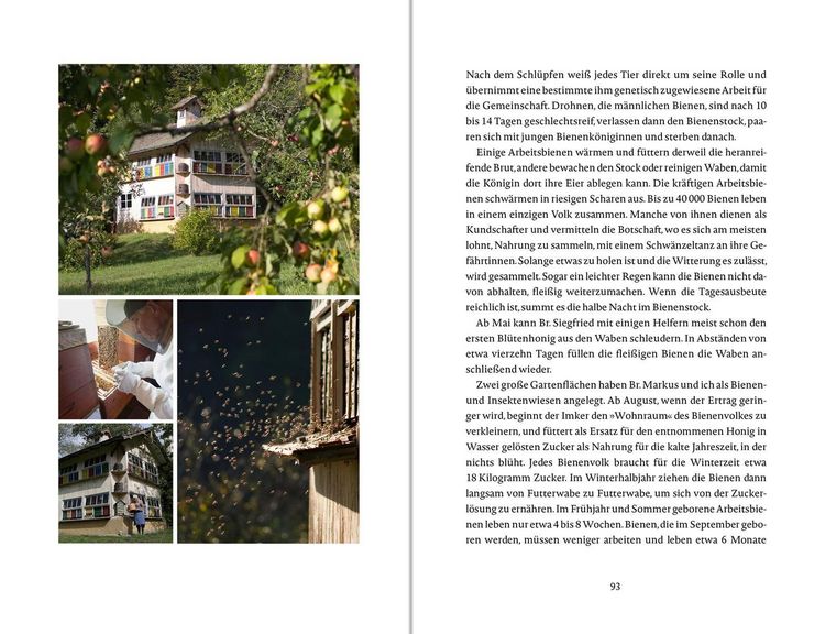 Produktbild: Das Glück wächst im Garten