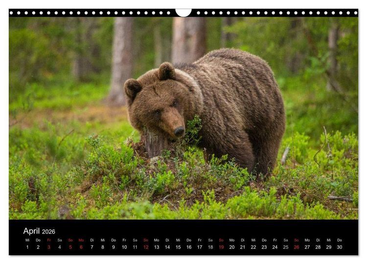 Produktbild: Naturwucht Skandinavien (Wandkalender 2026 DIN A3 quer), CALVENDO Monatskalender
