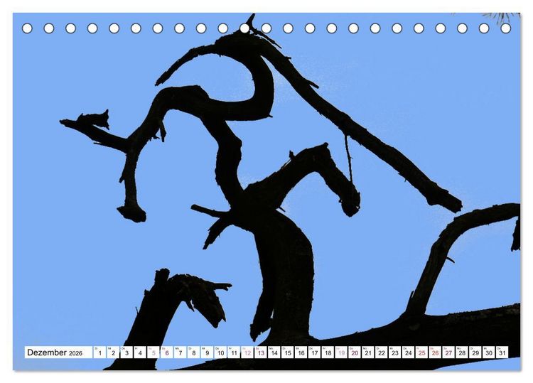 Produktbild: Heidelandschaft im Farbenspiel der Natur (Tischkalender 2026 DIN A5 quer), CALVENDO Monatskalender