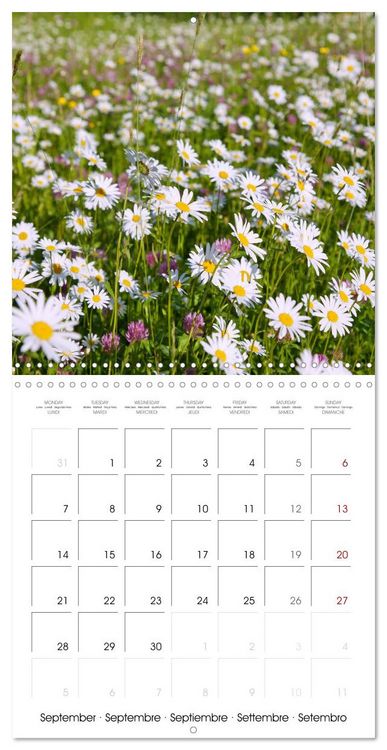 Produktbild: Herbal Haven. Enchanting Healing Plants (Wall Calendar 2026 12 &times; 12 Inch) CALVENDO 12 Month Wall Calendar