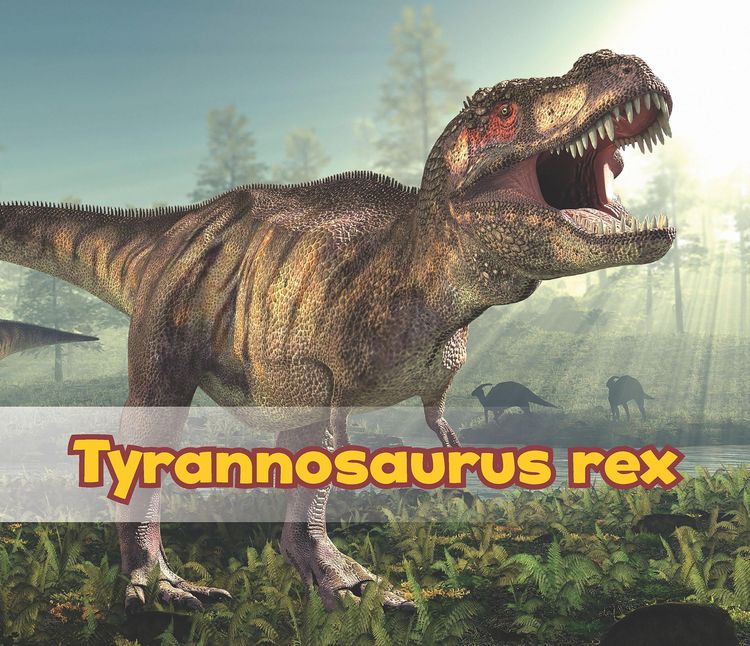 Produktbild: Tyrannosaurus Rex