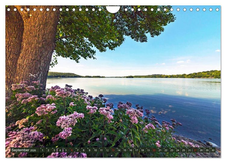 Produktbild: Holsteinische Schweiz - F&uuml;nf-Seen-Landschaft (Wandkalender 2026 DIN A4 quer), CALVENDO Monatskalender