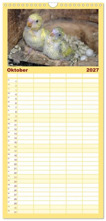 Produktbild: Familienplaner 2027 - Wellensittiche - Gefiederte Freunde mit 5 Spalten (Wandkalender, 21 x 45 cm) CALVENDO