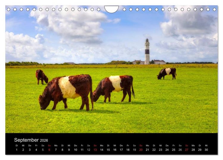Produktbild: Sylt (Wandkalender 2026 DIN A4 quer), CALVENDO Monatskalender