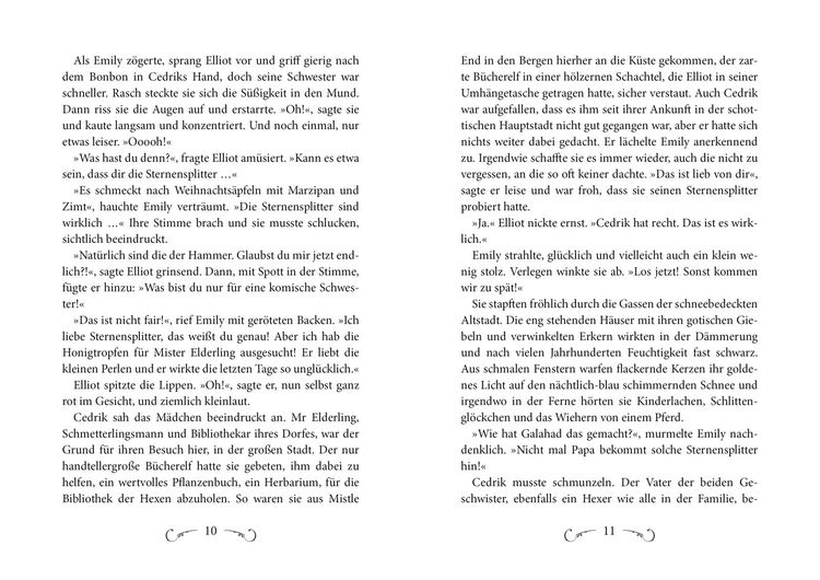 Der Druide von Mistle End 1: Angriff der Dämonen