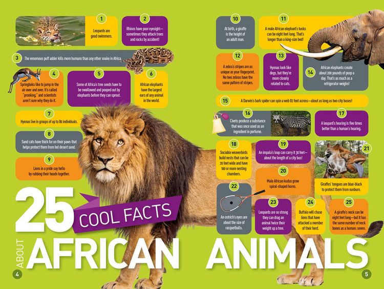 Produktbild: Roar! (National Geographic Kids Readers, Level 3/Fact Reader)
