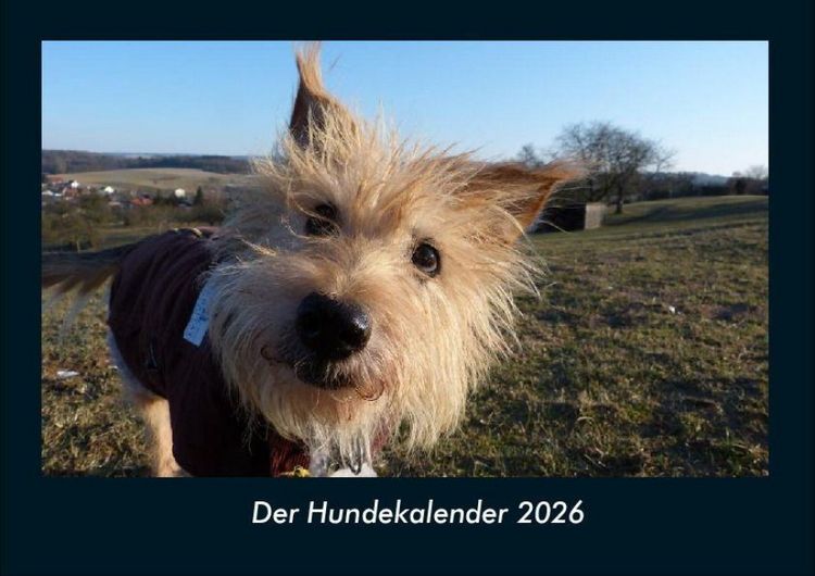 Produktbild: Der Hundekalender 2026 Fotokalender DIN A4