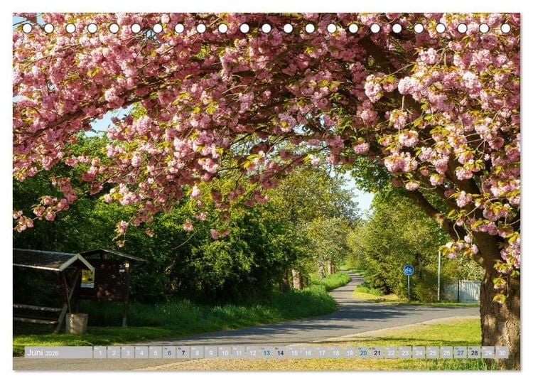 Produktbild: Streifz&uuml;ge durch die Hebelei (Tischkalender 2026 DIN A5 quer), CALVENDO Monatskalender