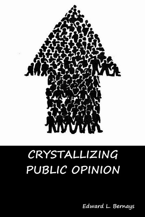 Produktbild: Crystallizing Public Opinion