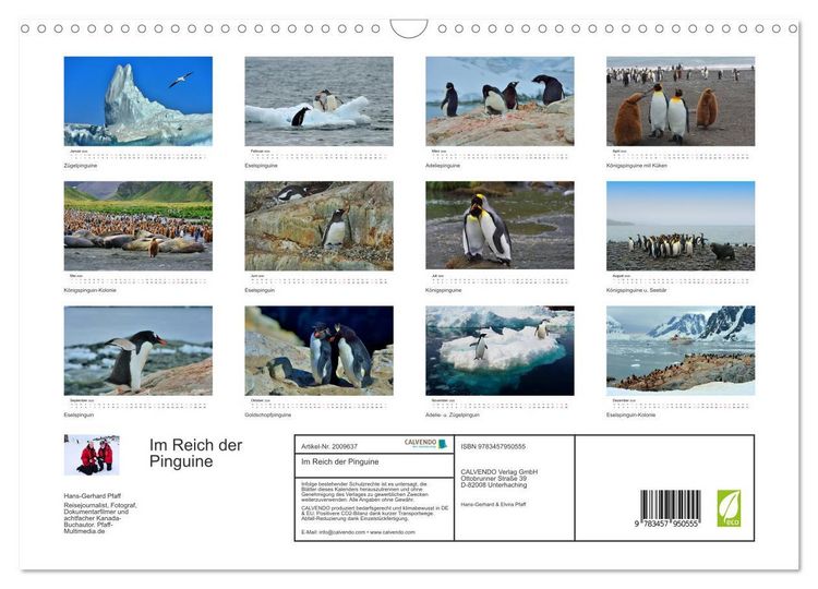 Produktbild: Im Reich der Pinguine (Wandkalender 2026 DIN A3 quer), CALVENDO Monatskalender