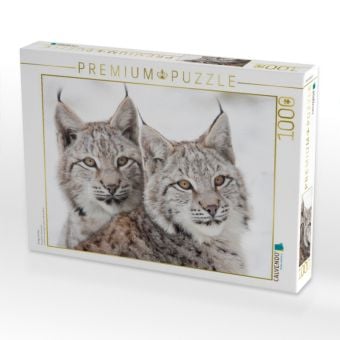Produktbild: CALVENDO Puzzle Junge Luchse | 1000 Teile Lege-Gr&ouml;&szlig;e 64x48cm Foto-Puzzle f&uuml;r gl&uuml;ckliche Stunden
