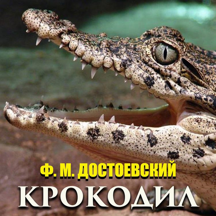 Produktbild: The Crocodile