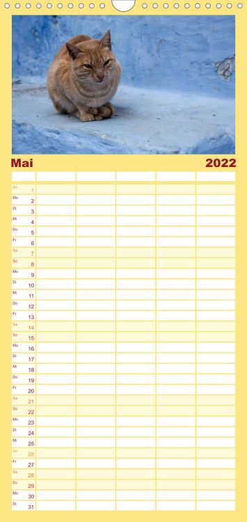 Produktbild: Familienplaner Chefchaouen - Blaue Stadt in Marokko (Wandkalender 2022 , 21 cm x 45 cm, hoch)