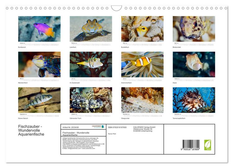 Produktbild: Fischzauber - Wundervolle Aquarienfische (Wandkalender 2026 DIN A3 quer), CALVENDO Monatskalender