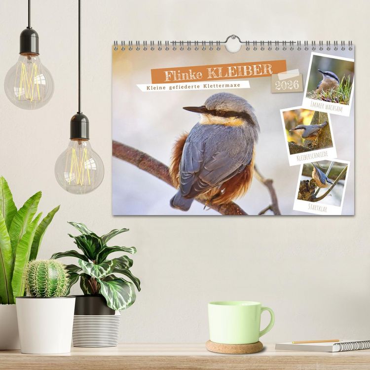Produktbild: Flinke Kleiber (Wandkalender 2026 DIN A4 quer), CALVENDO Monatskalender