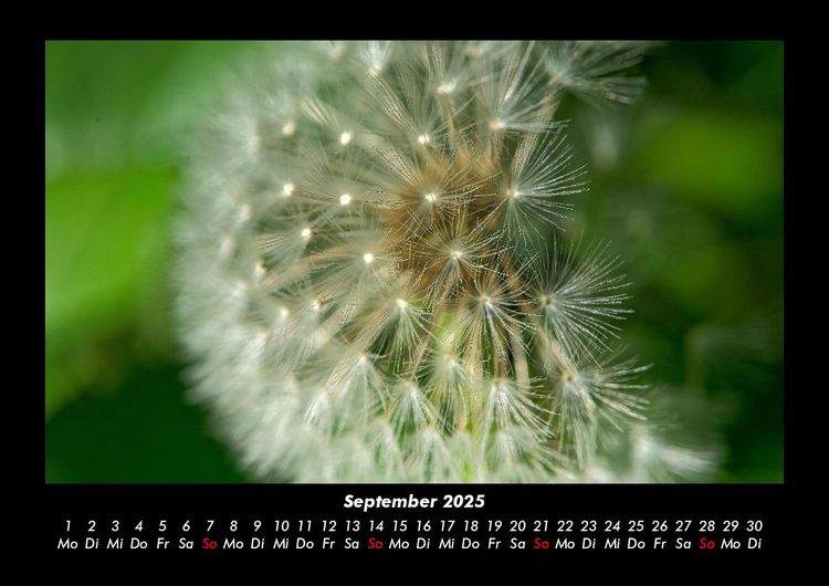 Produktbild: Unser Heimatplanet 2025 Fotokalender DIN A3