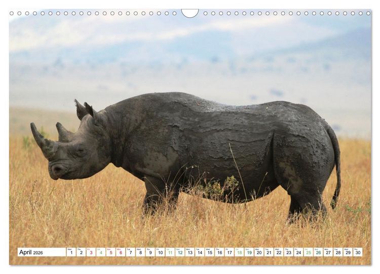 Produktbild: Big10 Of Masai Mara Kenya Africa (Wall Calendar 2026 DIN A3 landscape), CALVENDO 12 Month Wall Calendar