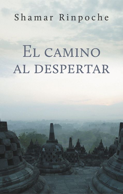 Produktbild: El Camino Al Despertar