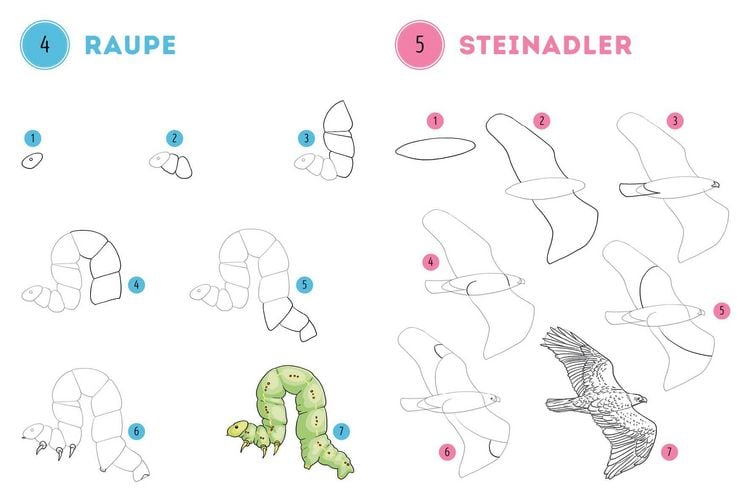 Produktbild: 300 Motive zeichnen &ndash;&nbsp;Tiere