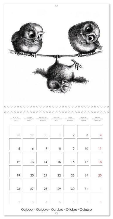 Produktbild: owls and mates 2026 (Wall Calendar 2026 12 &times; 12 Inch) CALVENDO 12 Month Wall Calendar
