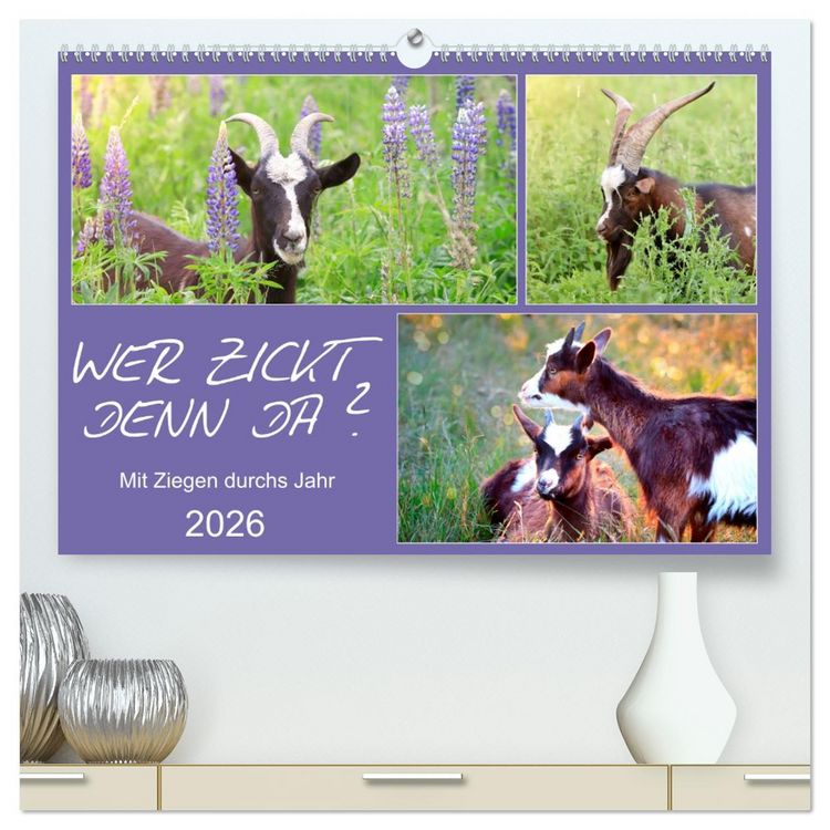 Produktbild: Wer zickt denn da? Mit Ziegen durchs Jahr (hochwertiger Premium Wandkalender 2026 DIN A2 quer), Kunstdruck in Hochglanz