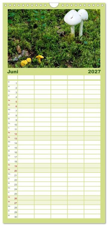 Produktbild: Familienplaner 2027 - Pilze - tolle Funde mit 5 Spalten (Wandkalender, 21 x 45 cm) CALVENDO
