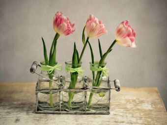 Produktbild: CALVENDO Puzzle Stillleben mit Tulpen | 1000 Teile Lege-Gr&ouml;&szlig;e 64x48cm Foto-Puzzle f&uuml;r gl&uuml;ckliche Stunden