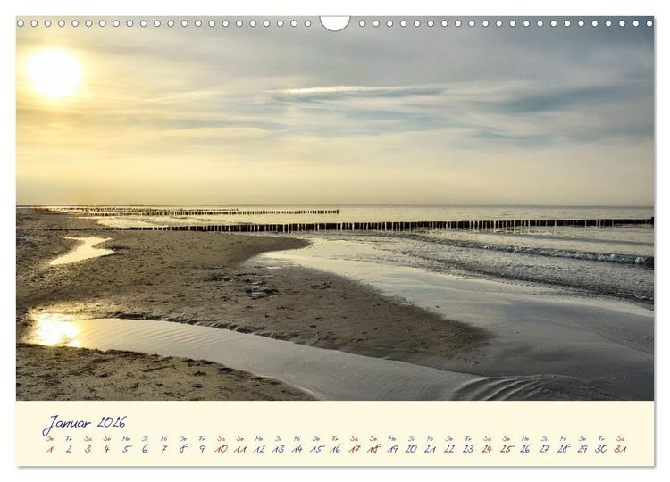 Produktbild: OSTSEEGL&Uuml;CK - Gl&uuml;cksmomente auf dem Dar&szlig; (Wandkalender 2026 DIN A3 quer), CALVENDO Monatskalender