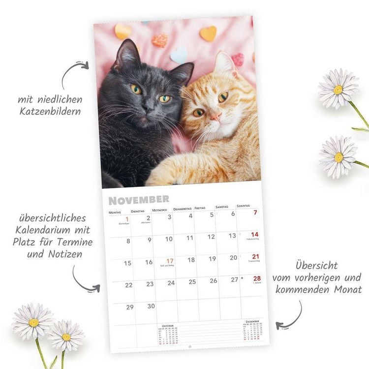 Produktbild: TR&Ouml;TSCH - Brosch&uuml;renkalender Katzen 2027