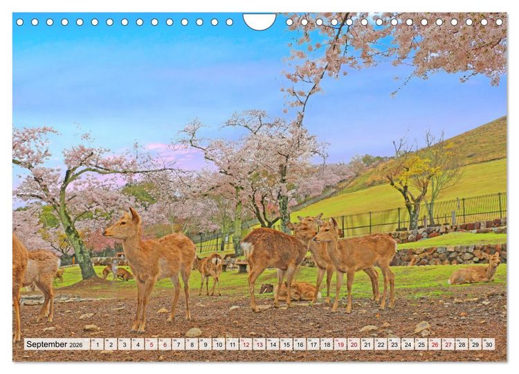 Produktbild: Japan das Land der aufgehenden Sonne (Wandkalender 2026 DIN A4 quer), CALVENDO Monatskalender