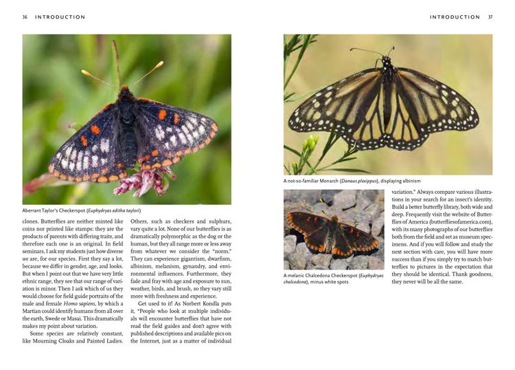 Produktbild: Butterflies of the Pacific Northwest