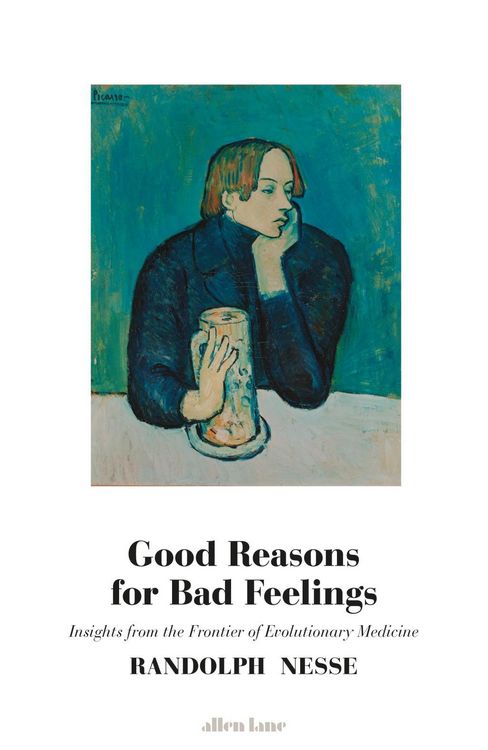 Produktbild: Good Reasons for Bad Feelings