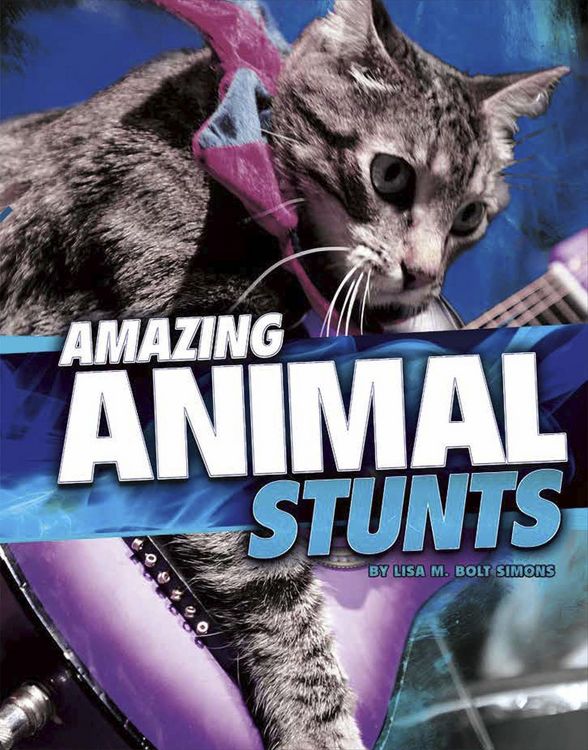 Produktbild: Amazing Animal Stunts